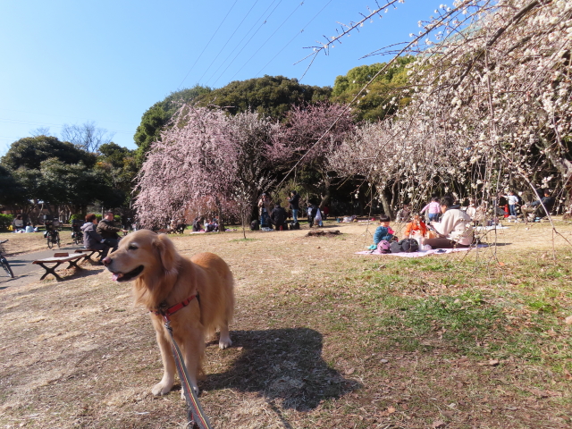 ファイル 8720-5.jpg