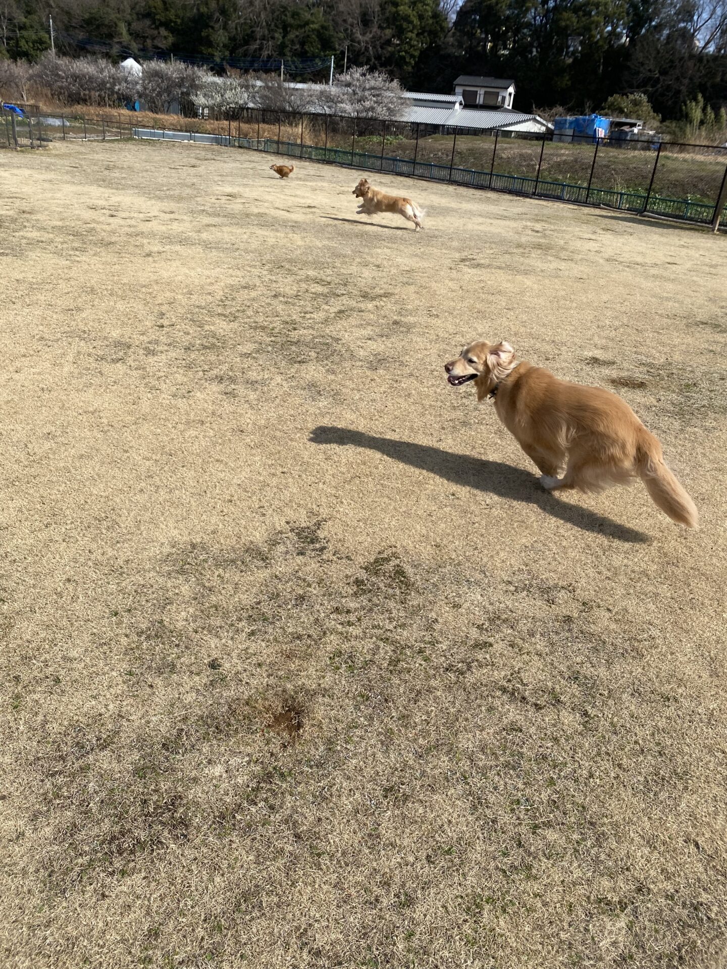 ファイル 8721-3.jpeg