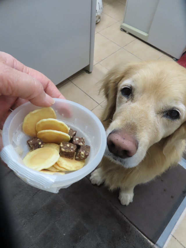 ファイル 8722-1.jpg