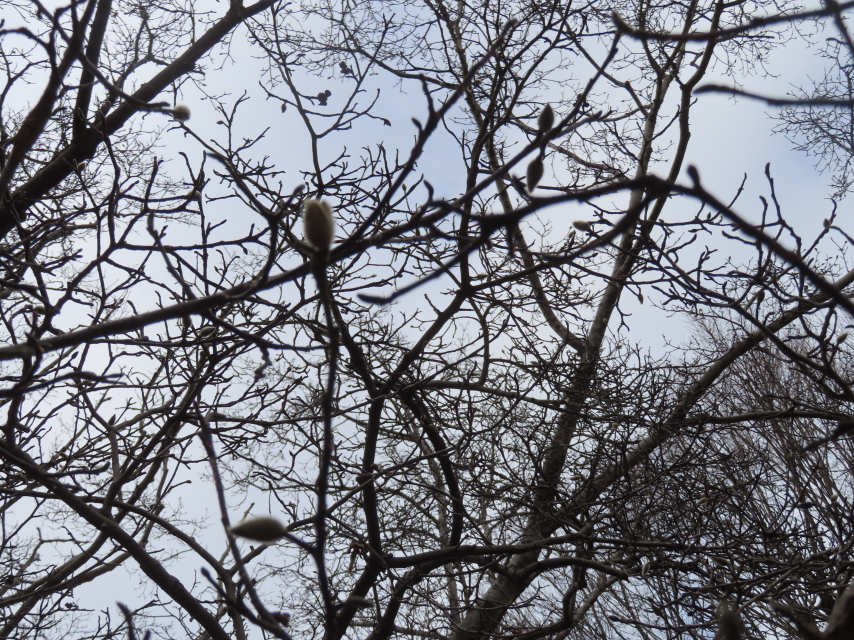 ファイル 8722-4.jpg