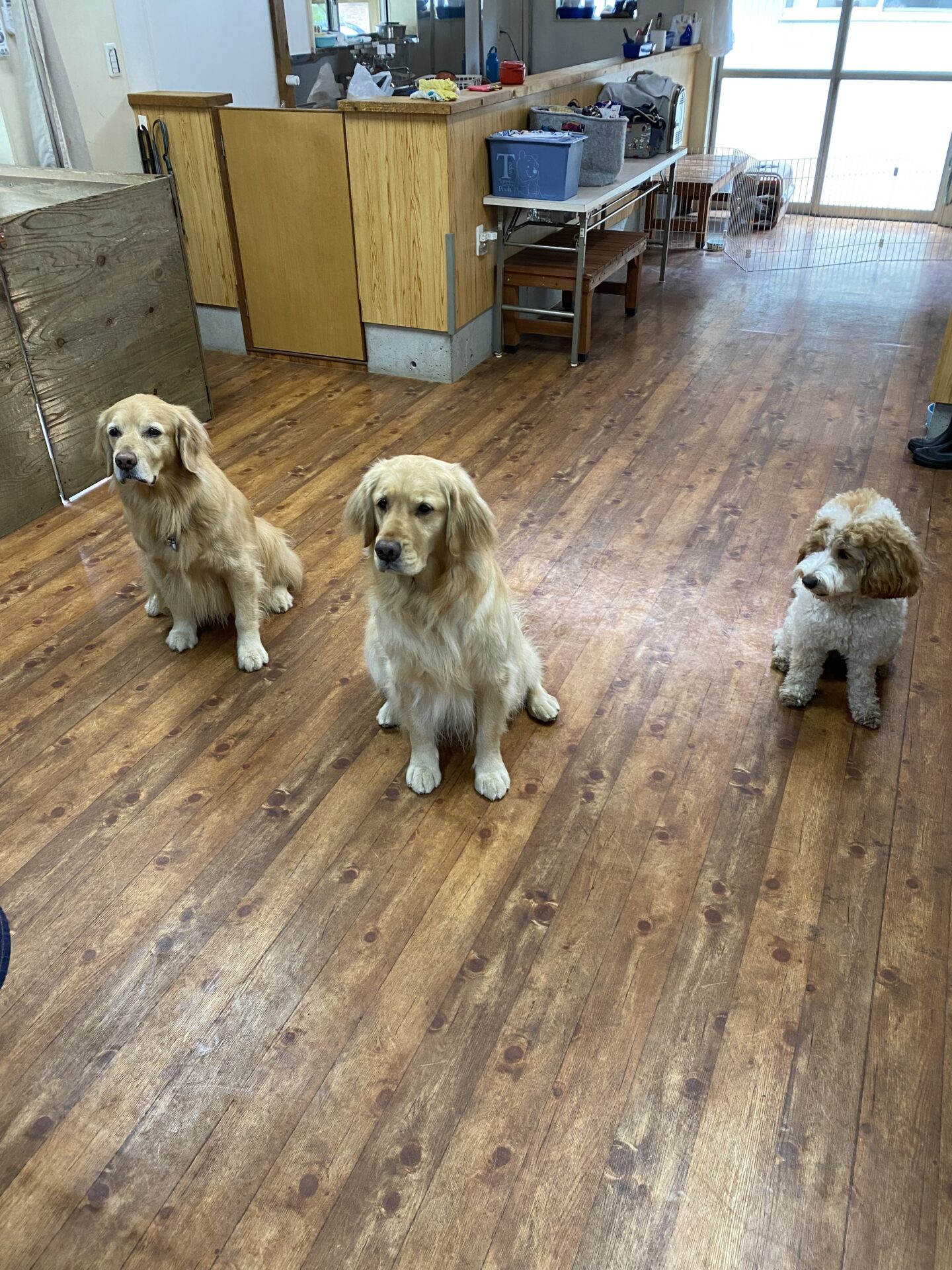 ファイル 8725-5.jpeg