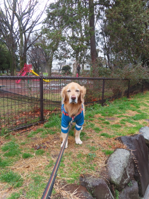 ファイル 8728-1.jpg