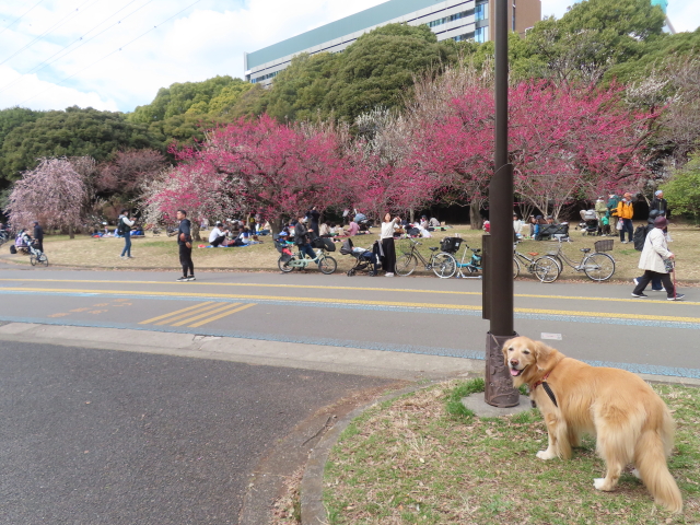 ファイル 8728-3.jpg