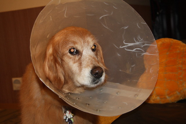 ファイル 873-2.jpg