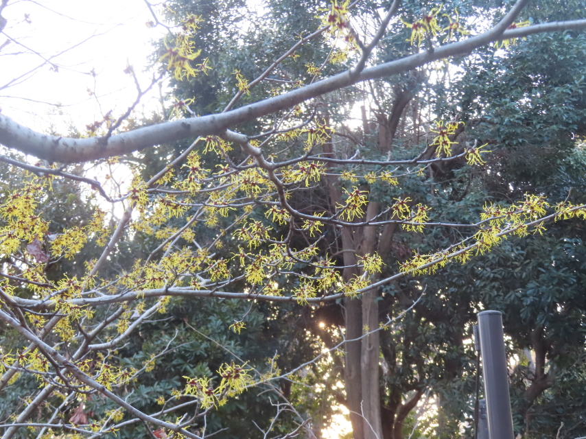 ファイル 8730-2.jpg