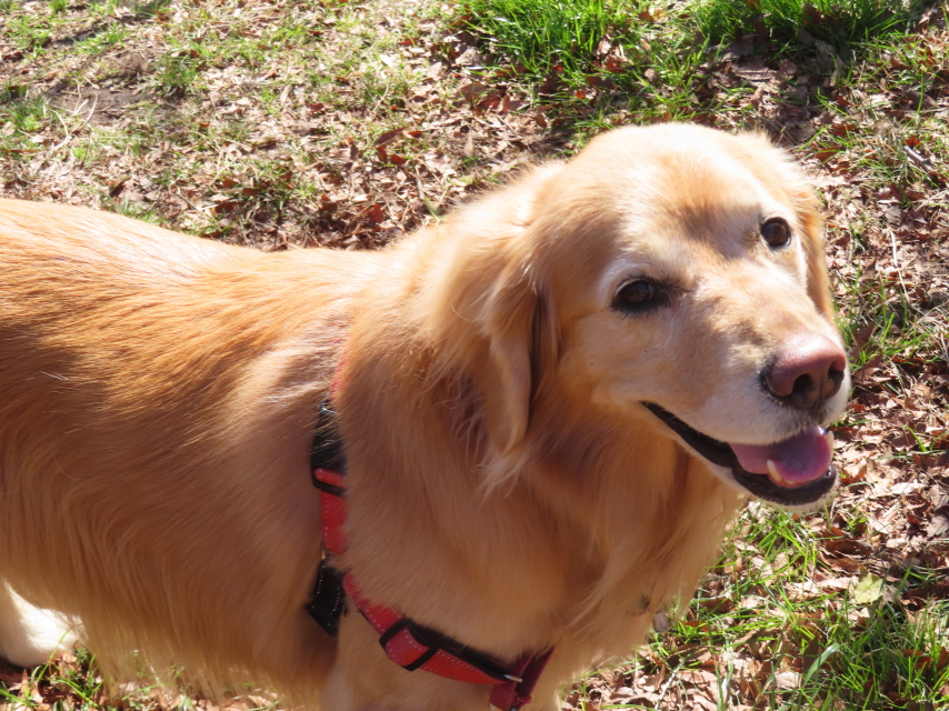 ファイル 8730-5.jpg