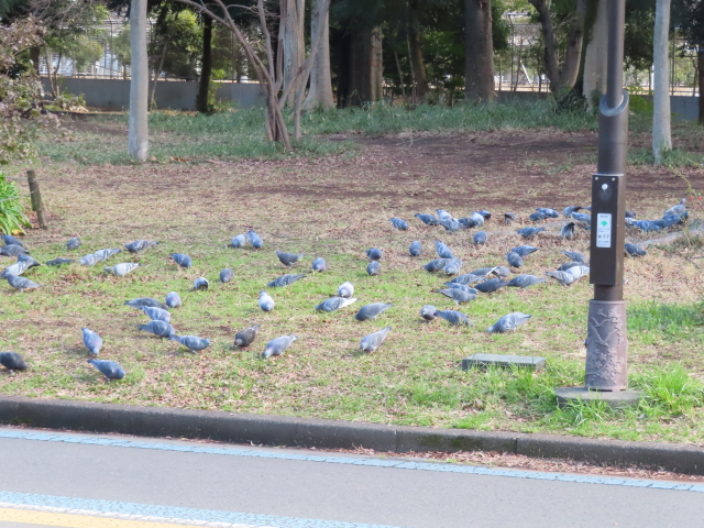 ファイル 8731-5.jpg