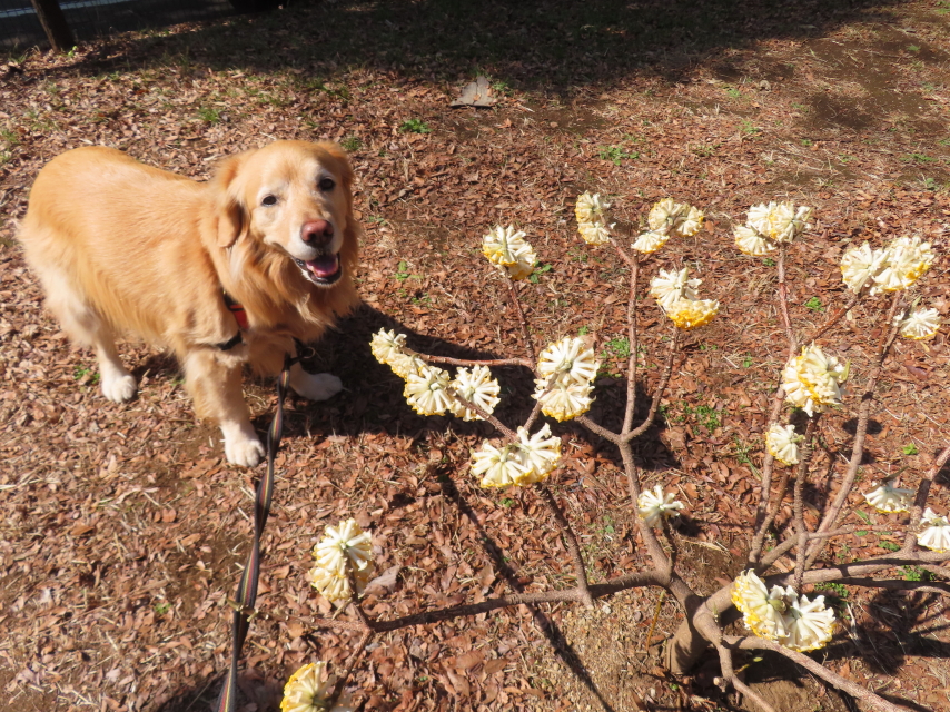 ファイル 8732-3.jpg