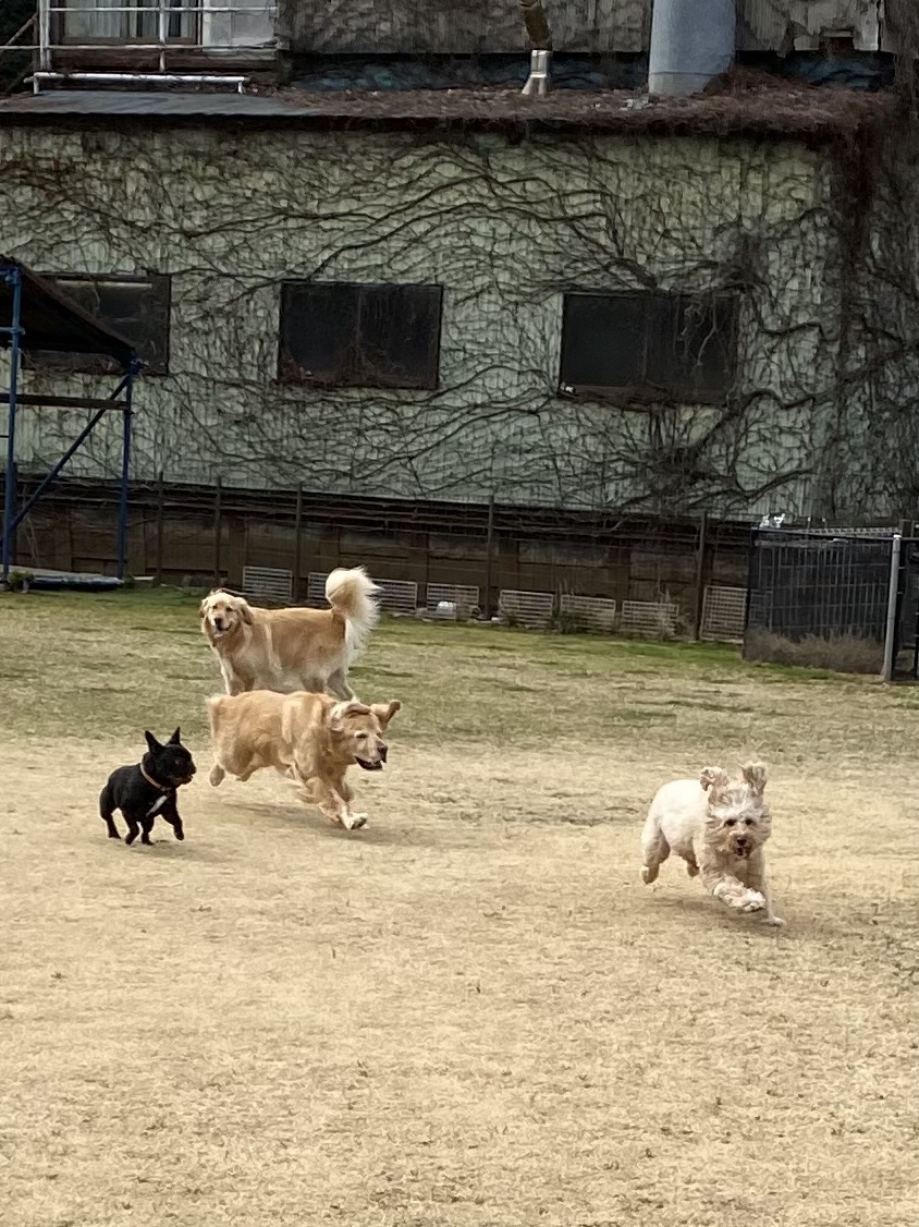 ファイル 8734-1.jpeg