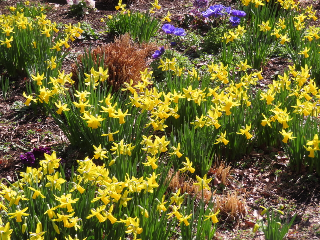 ファイル 8736-1.jpg