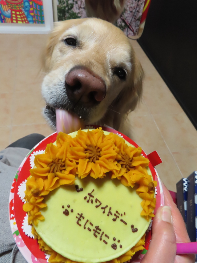 ファイル 8737-3.jpg