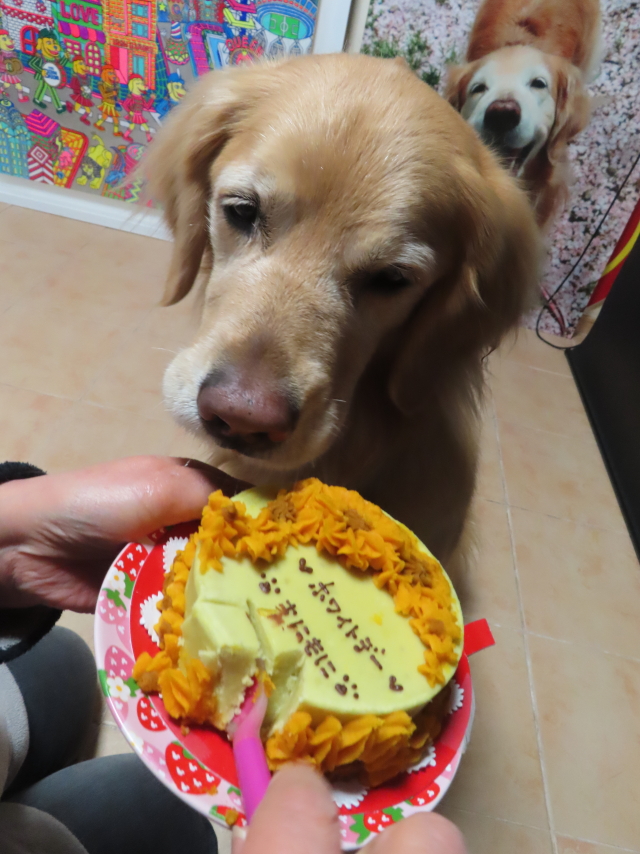 ファイル 8737-4.jpg