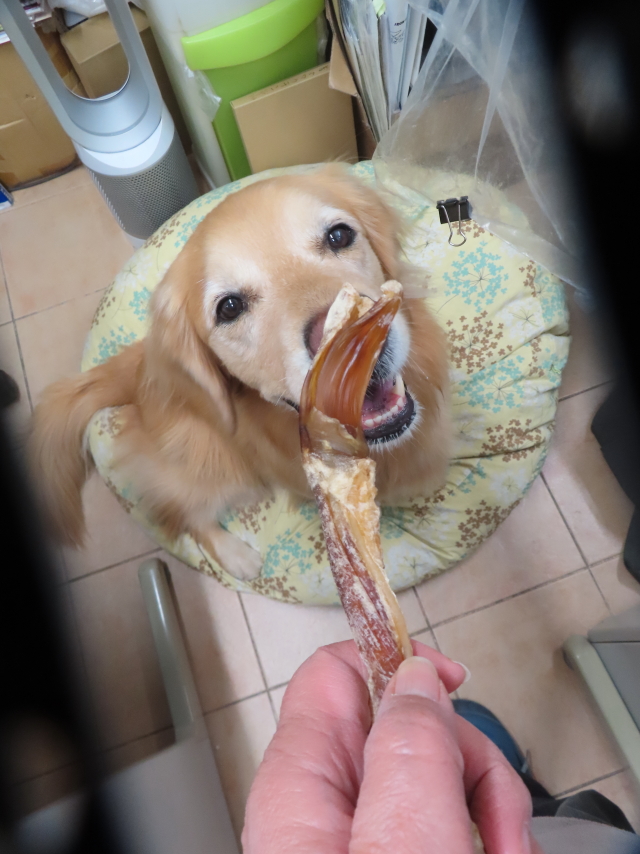 ファイル 8737-5.jpg