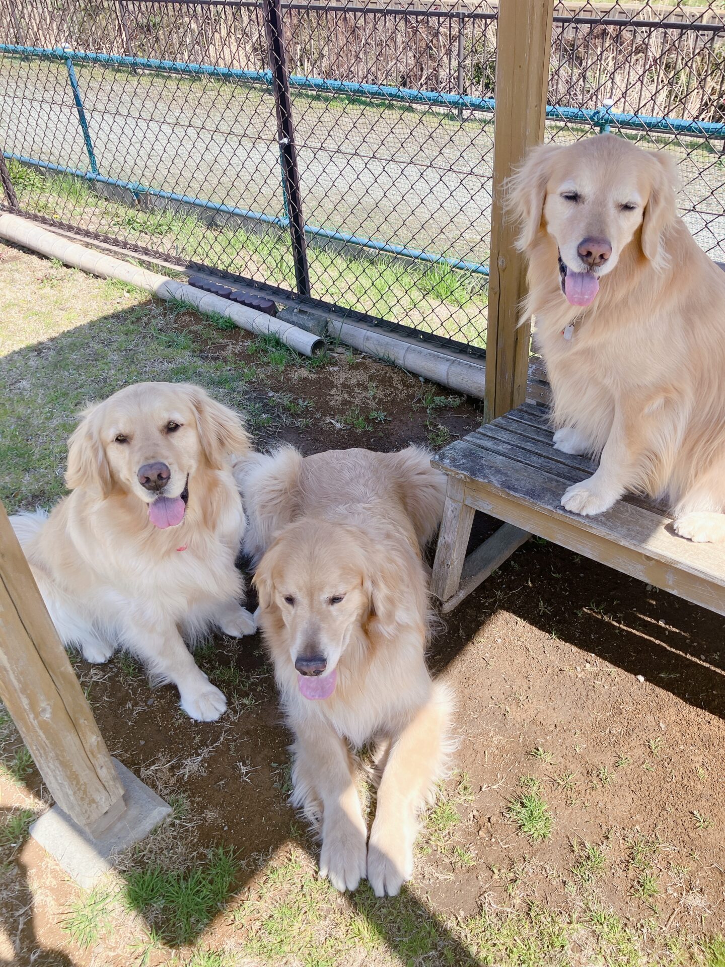 ファイル 8738-4.jpeg