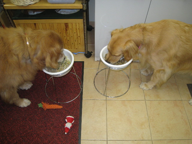 ファイル 874-1.jpg