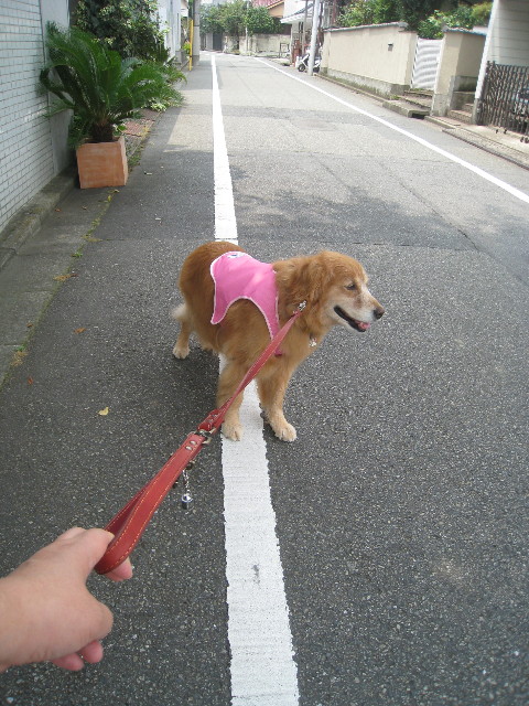 ファイル 874-2.jpg