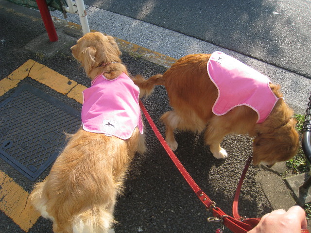 ファイル 874-4.jpg