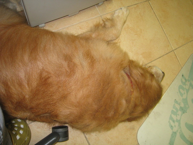 ファイル 874-5.jpg