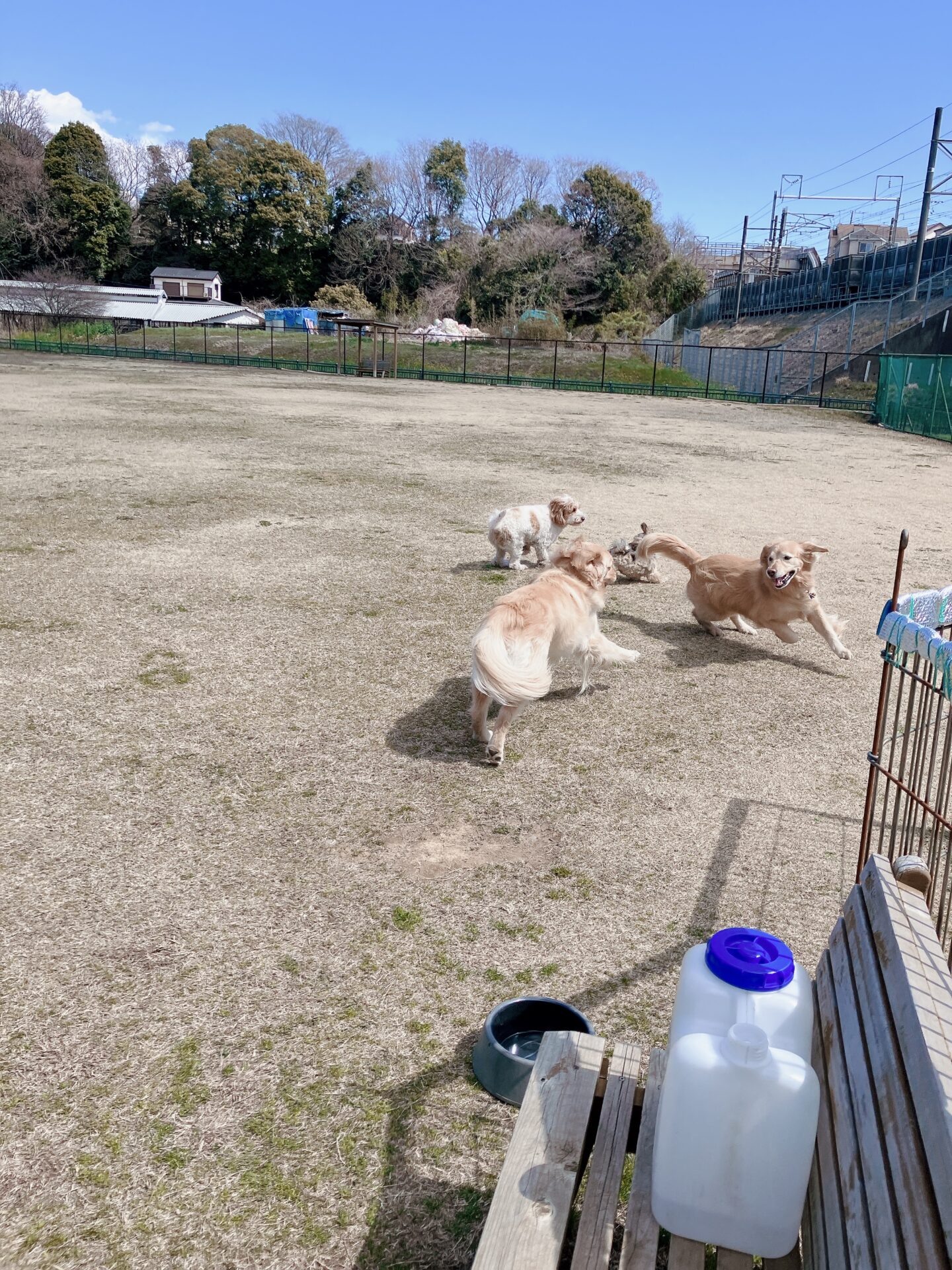 ファイル 8742-4.jpeg