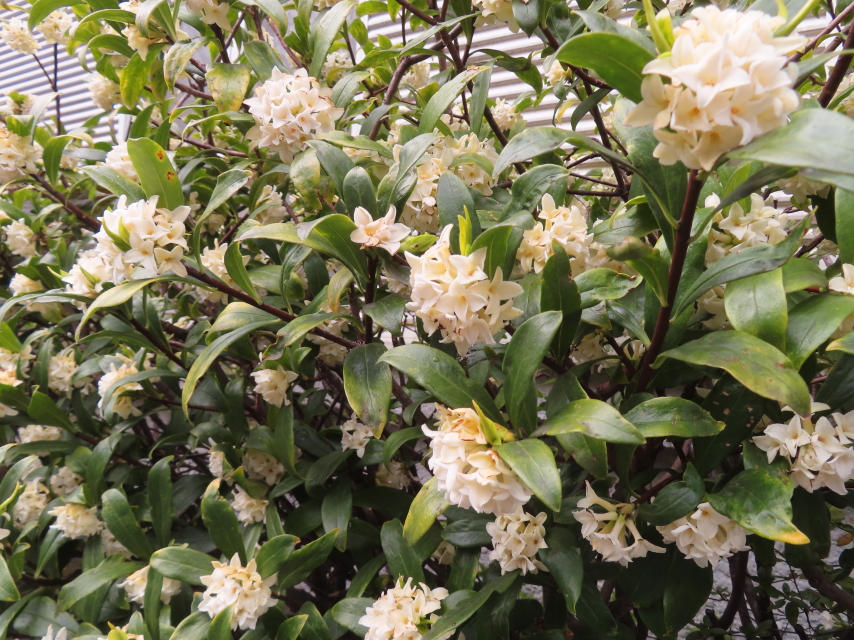 ファイル 8743-5.jpg