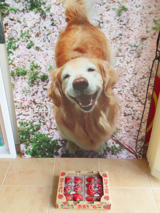 ファイル 8744-1.jpg