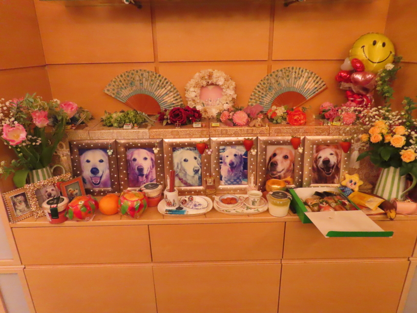 ファイル 8744-2.jpg