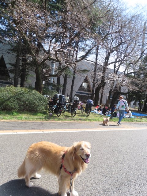 ファイル 8747-1.jpg