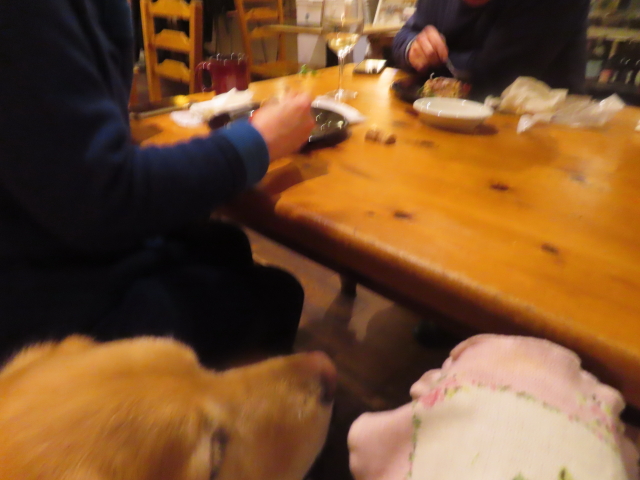 ファイル 8748-2.jpg