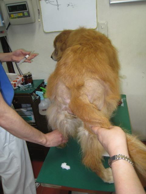 ファイル 875-2.jpg