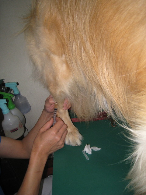 ファイル 875-3.jpg