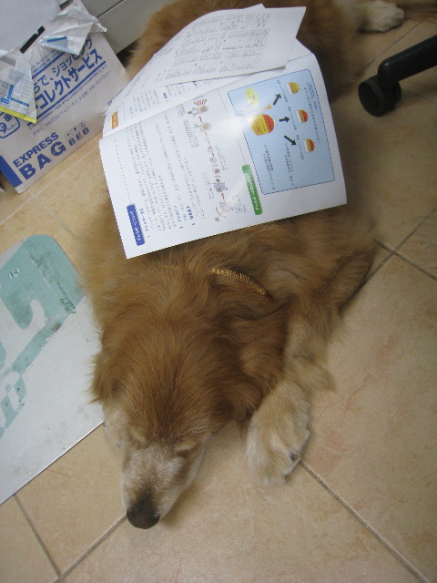 ファイル 875-5.jpg