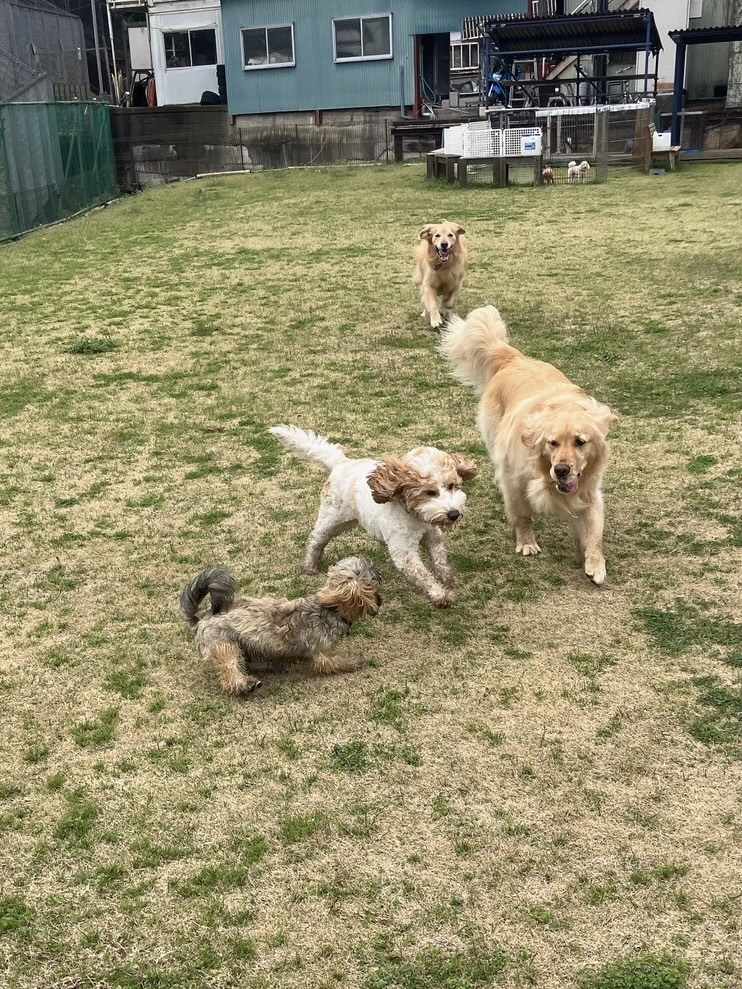 ファイル 8752-1.jpeg