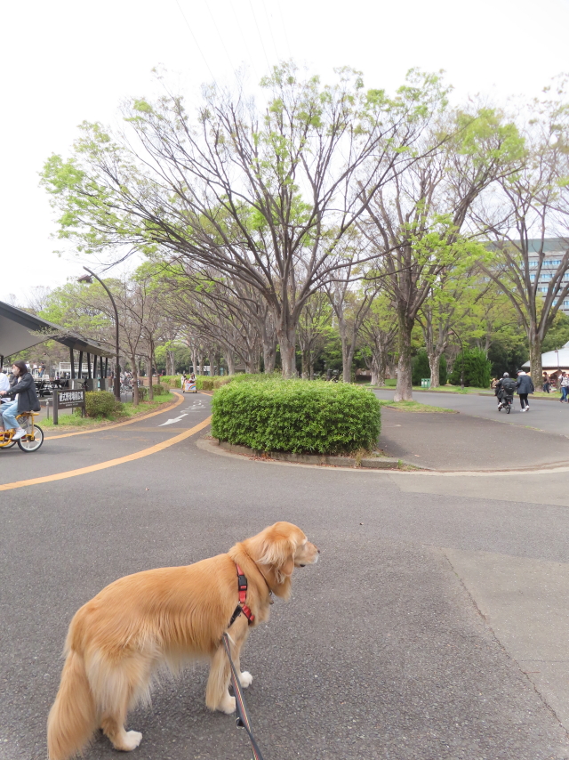 ファイル 8755-1.jpg