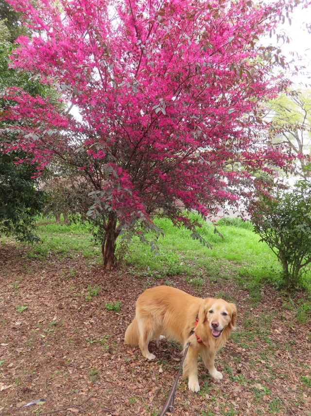 ファイル 8755-5.jpg