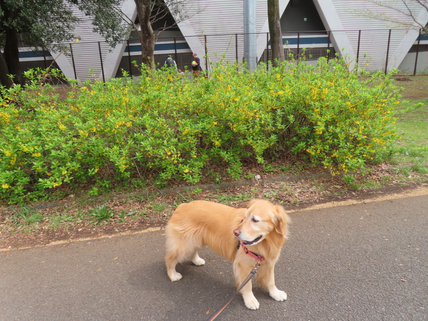 ファイル 8756-3.jpg