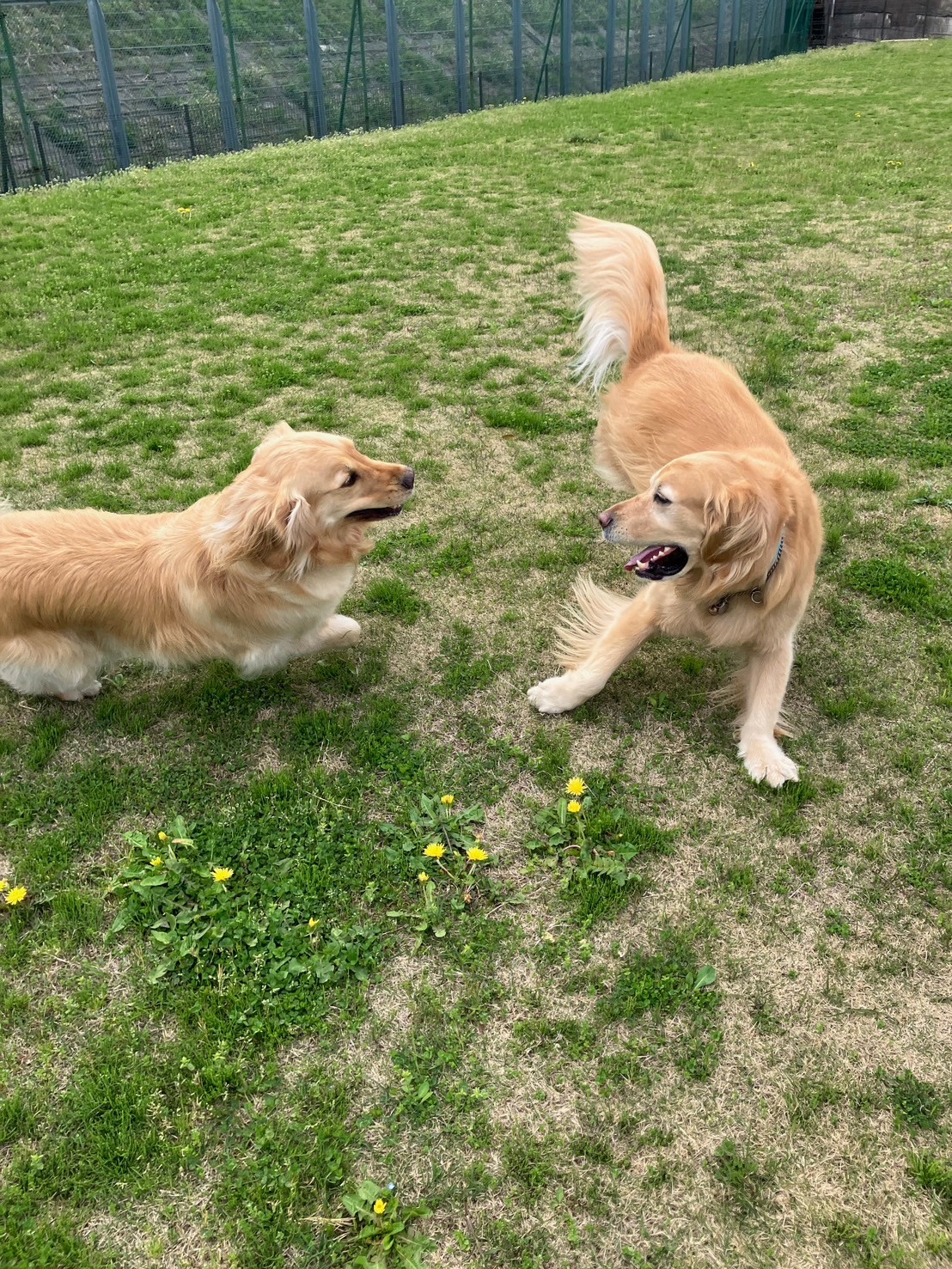 ファイル 8758-4.jpeg