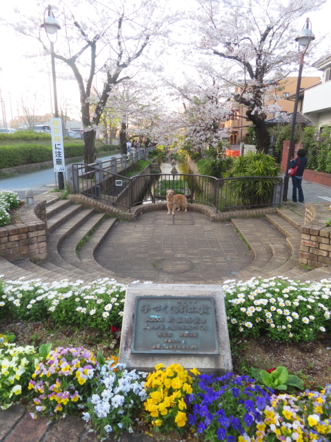 ファイル 8759-4.jpg