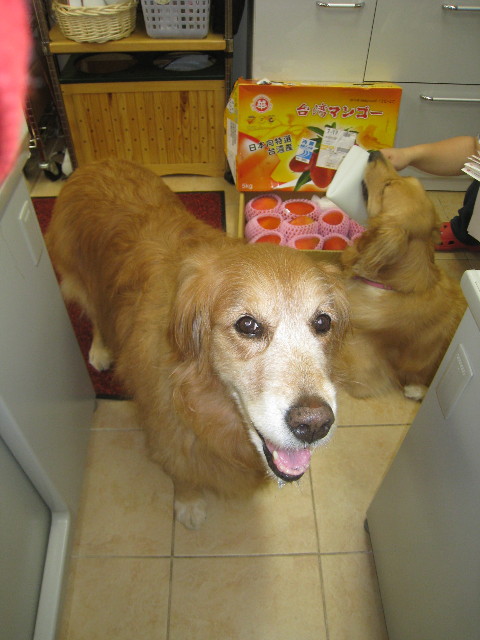 ファイル 876-1.jpg