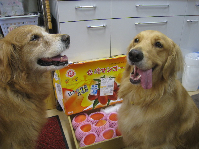 ファイル 876-2.jpg