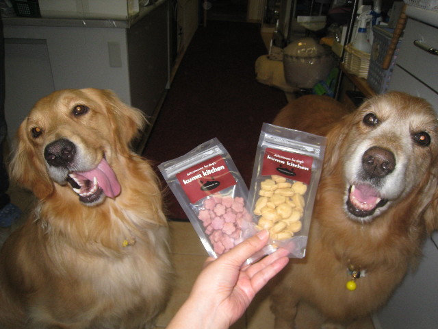 ファイル 876-4.jpg