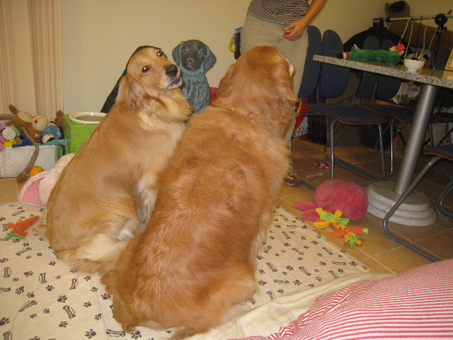 ファイル 876-5.jpg