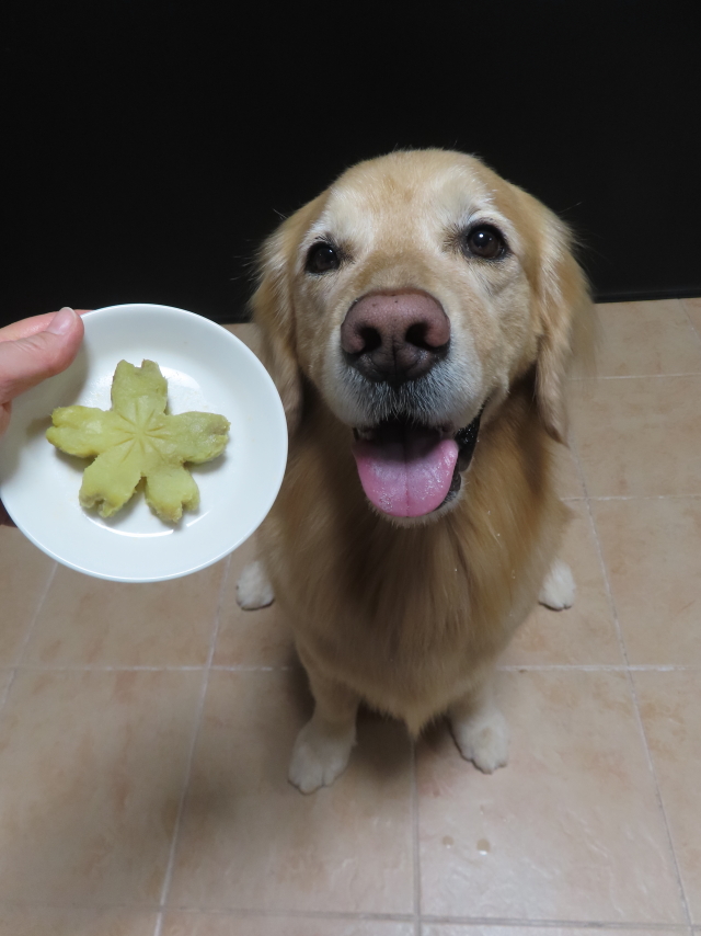 ファイル 8761-3.jpg