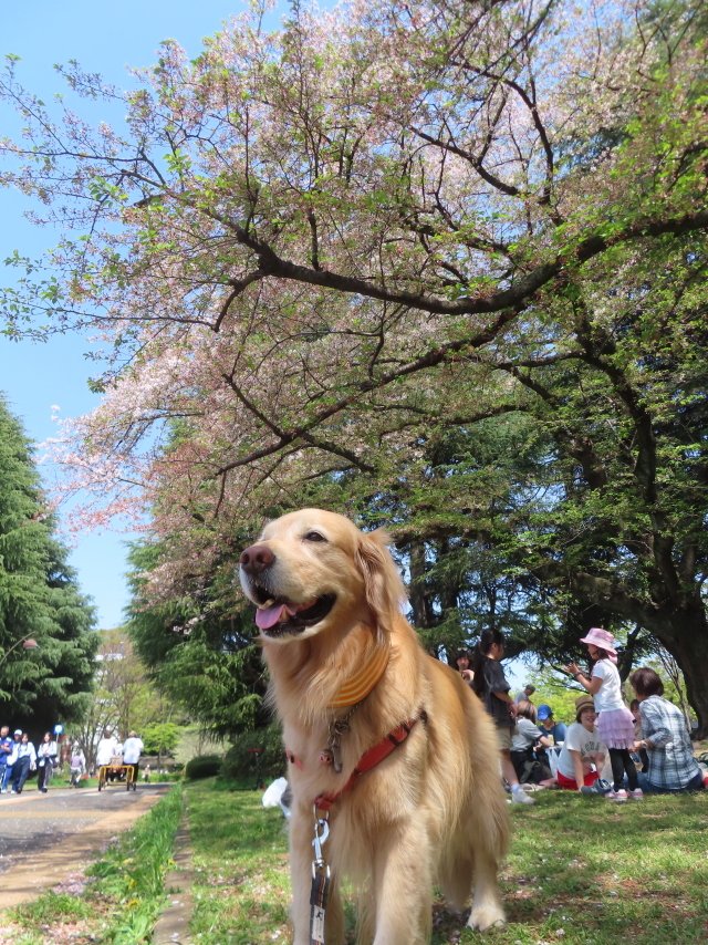 ファイル 8761-5.jpg