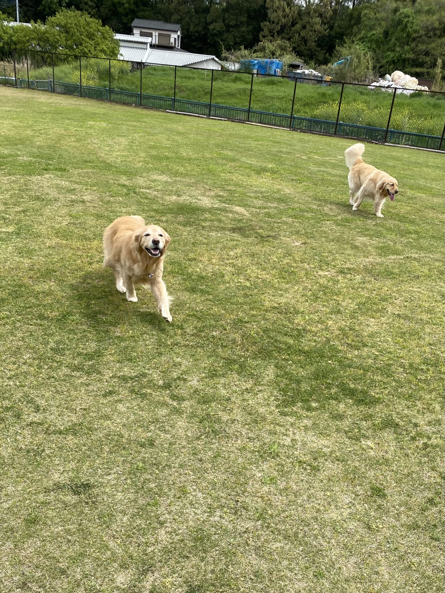 ファイル 8762-1.jpeg