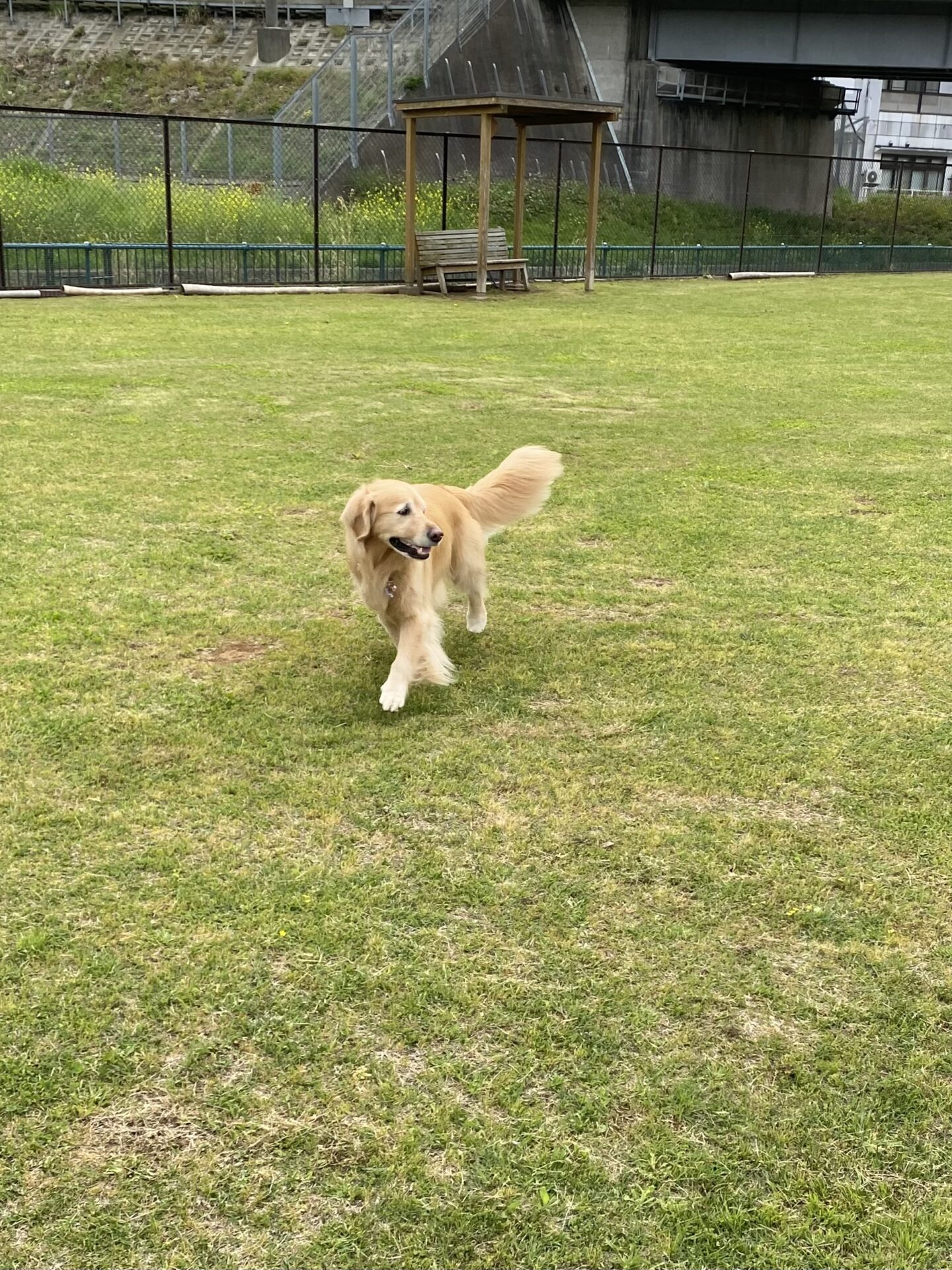 ファイル 8762-5.jpeg