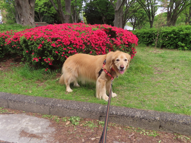 ファイル 8763-4.jpg