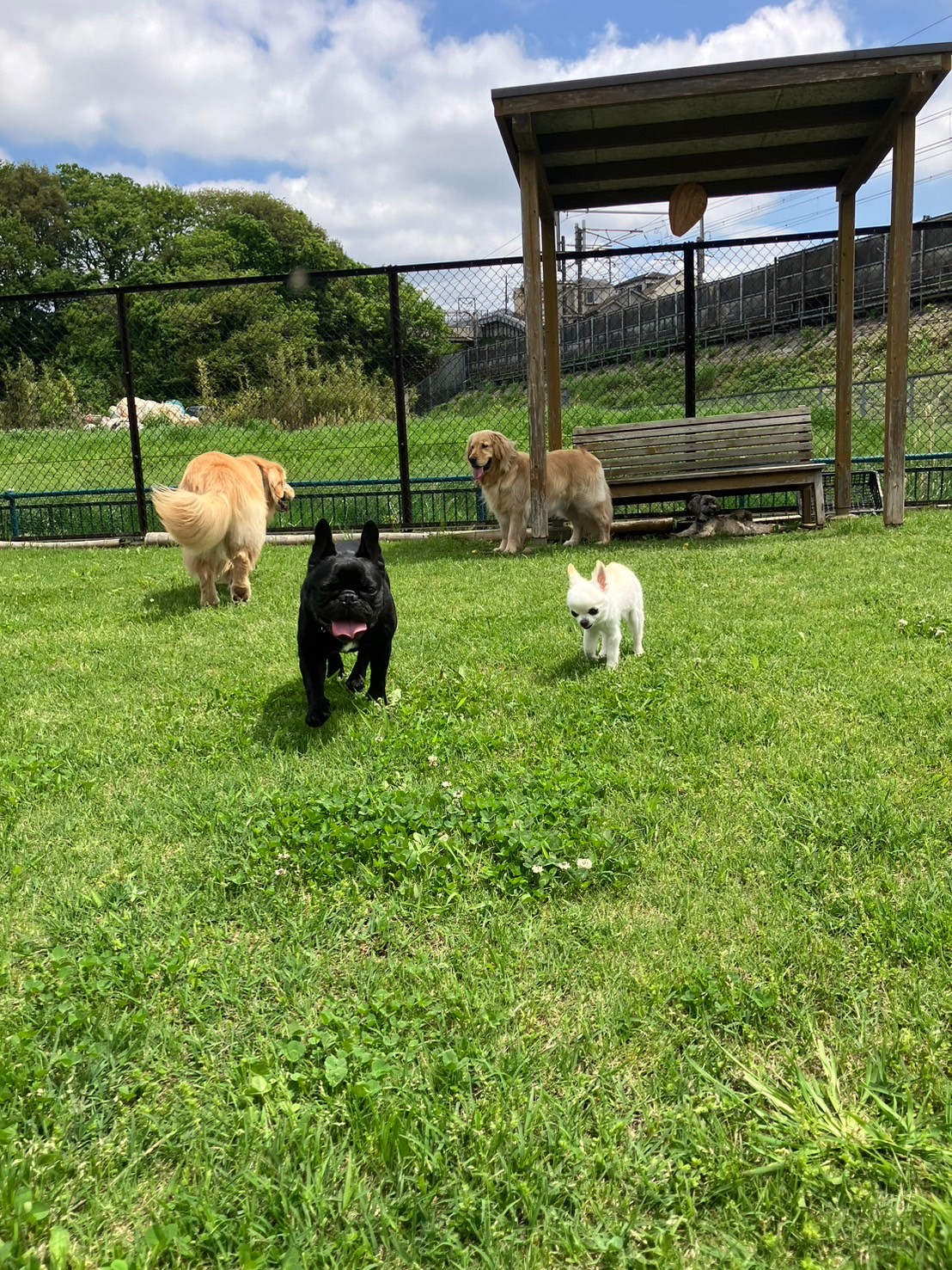 ファイル 8764-2.jpeg