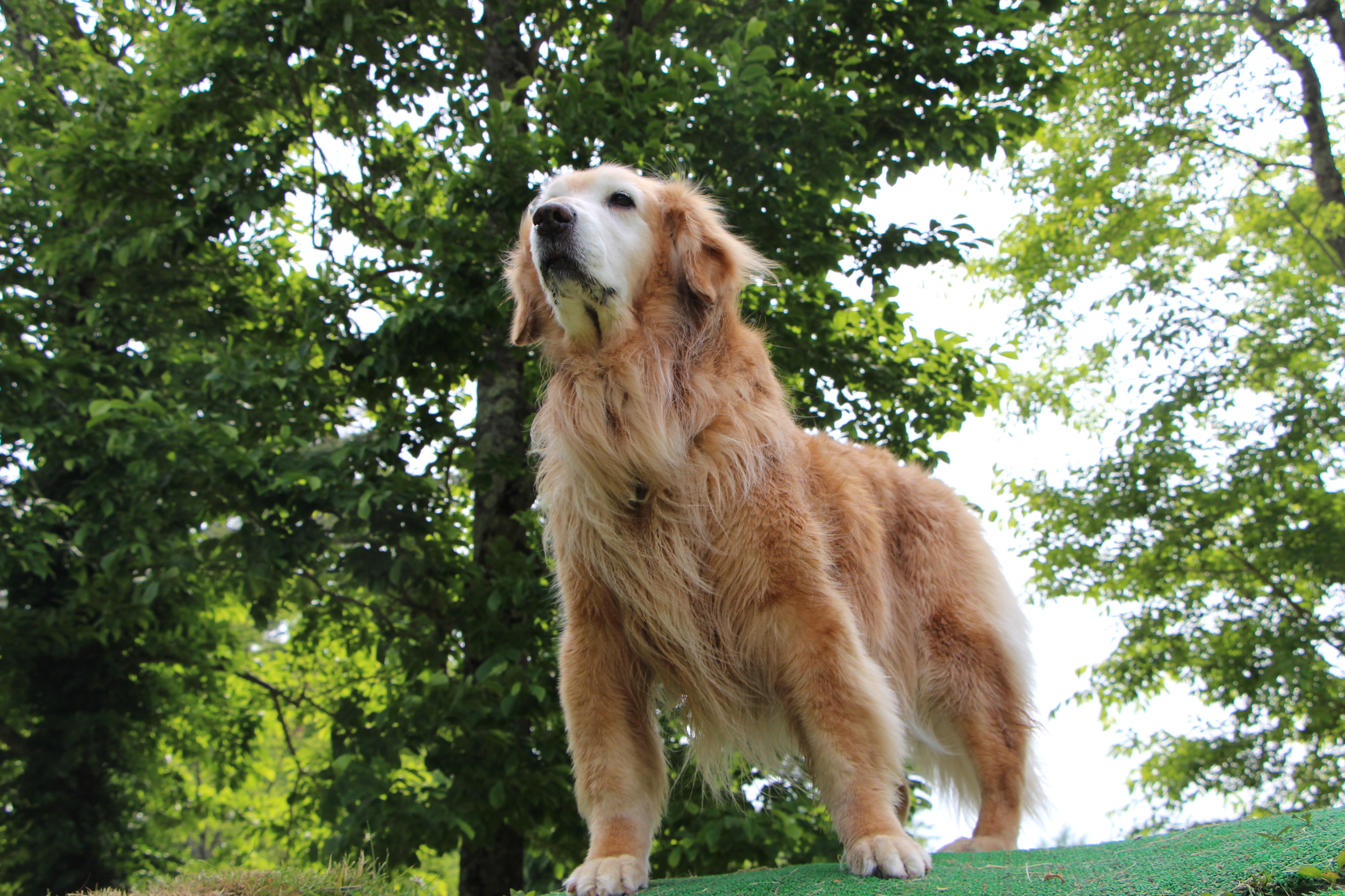 ファイル 8765-1.jpg