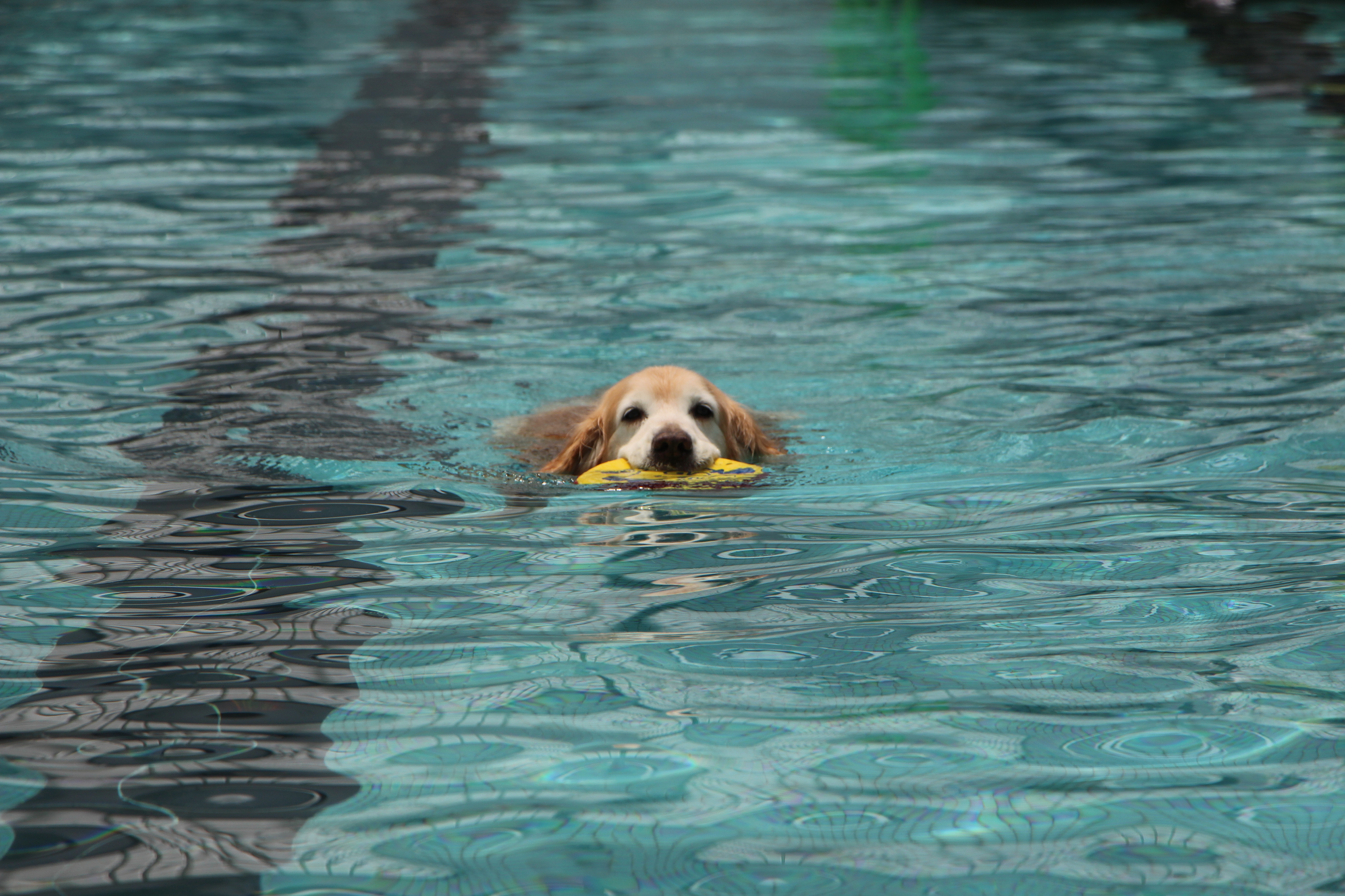 ファイル 8765-2.jpg