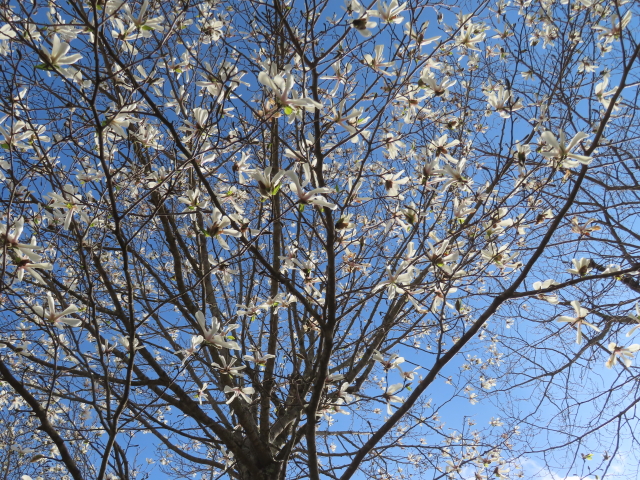 ファイル 8765-4.jpg